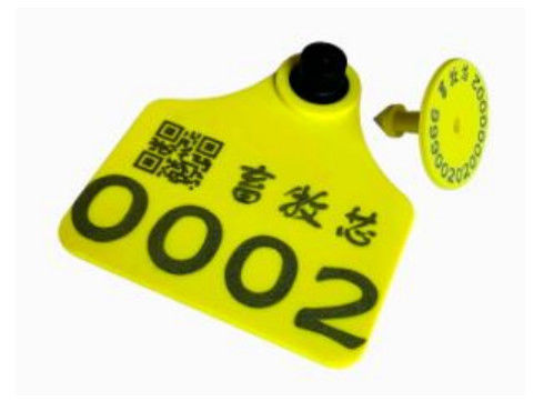 UHF RFID Cattle Tag With Encoding And Printing TPU Material , RFID UHF cow  Ear Tag HAT06E